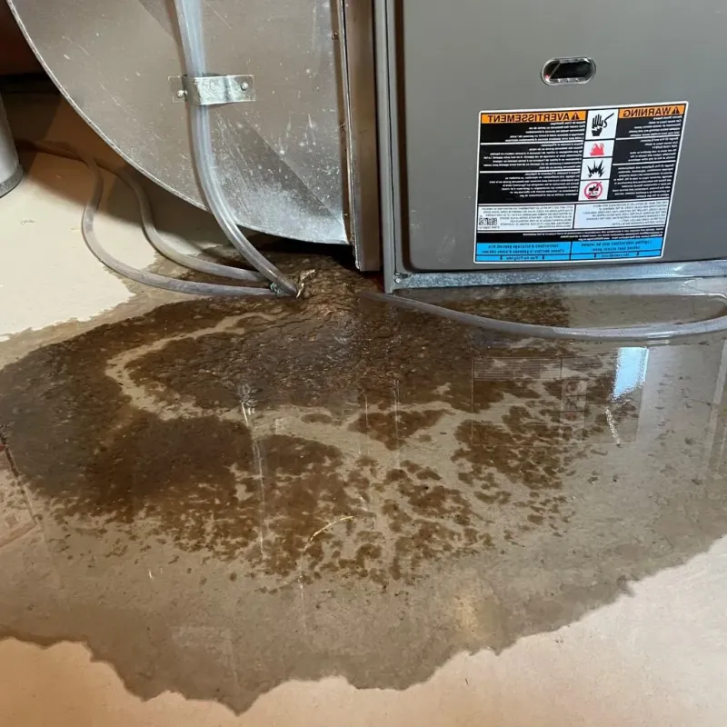 Pipe Burst and Leak Restoration in Akron, PA