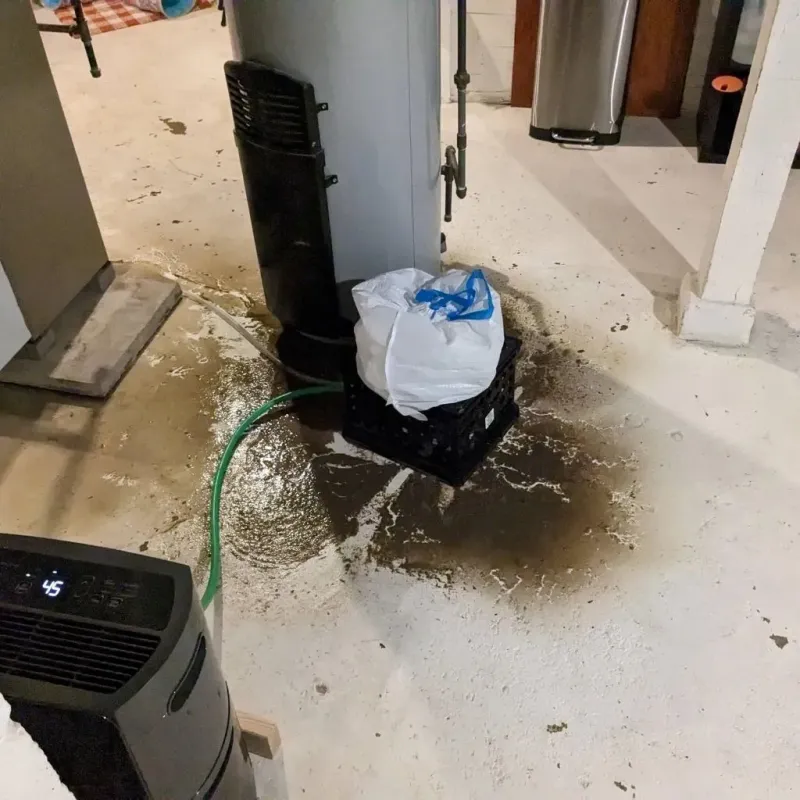 Sewage Backup Cleanup Service in Akron, PA